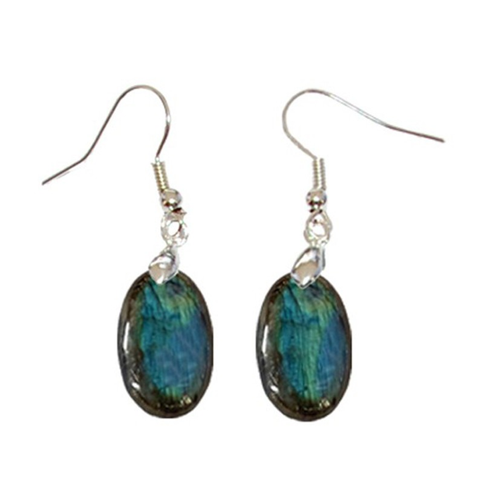 Boucles d’Oreilles Labradorite Ovale – Élégance Protectrice & Reflets Envoûtants